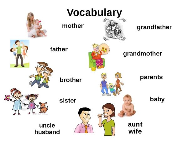 Family семья лексика