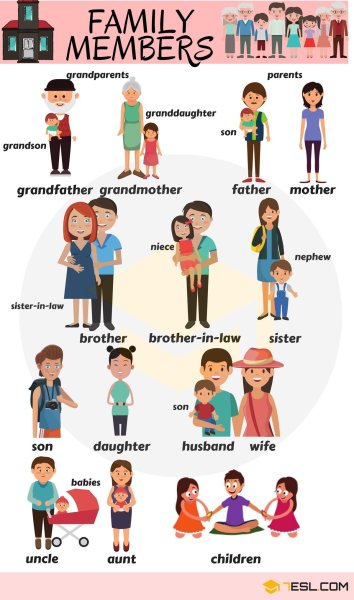 Family members на английском