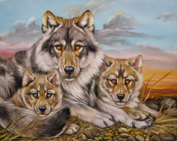 Картинки волк и семья (48 фото)