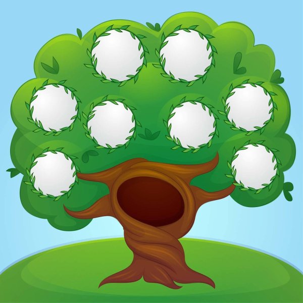 Family Tree(семейное Древо)
