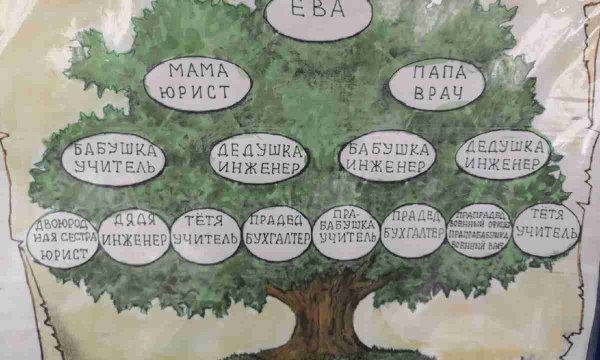 Родословное дерево профессий