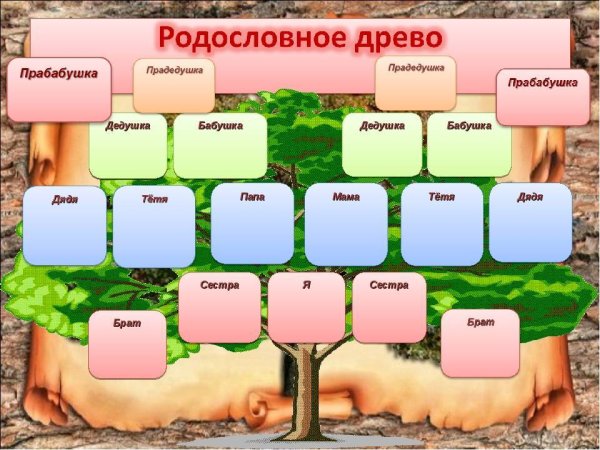 Родословное дерево семьи