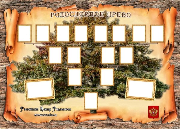 Родословное Древо