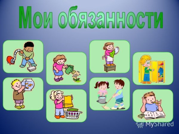 Мои обязанности в семье