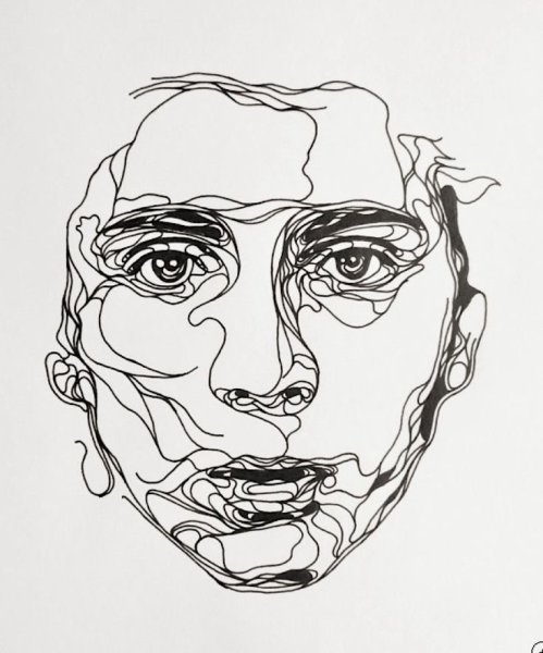 Портрет линиями