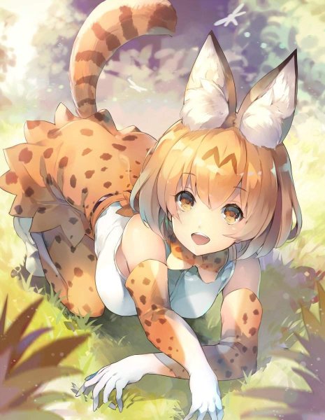 Kemono friends сервал арт