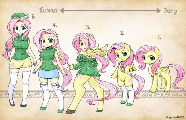 My little Pony Флаттершай человек