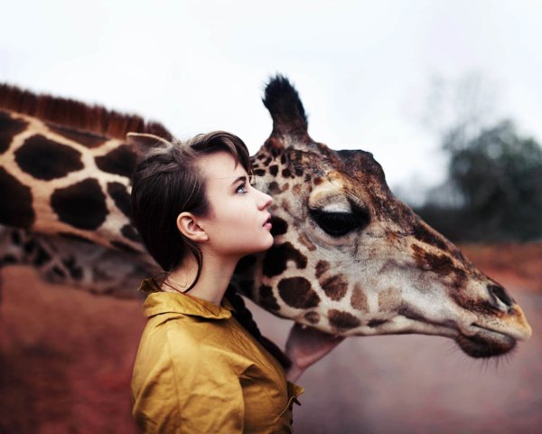Фотосессия с животными