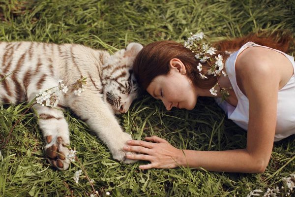 Фотосессия с дикими животными