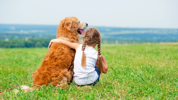 Для детей. Животные