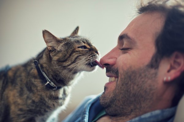 Чел с котом