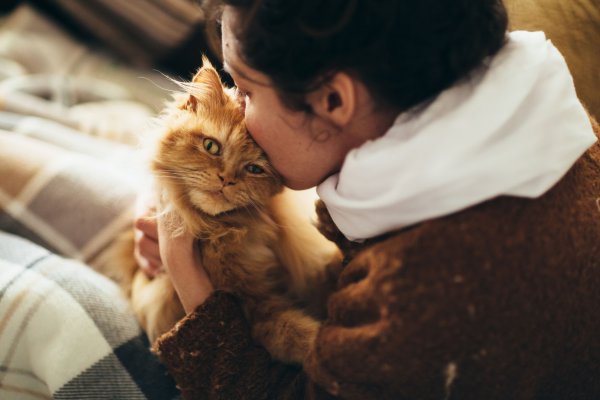 Девушка обнимает кота