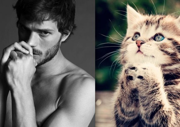 Парень с котом