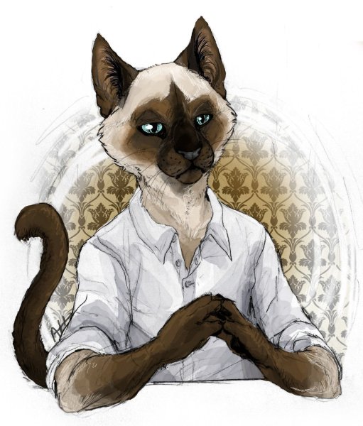 Сиамский кот арт