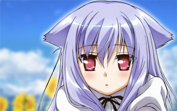 Mayoi Neko overrun!