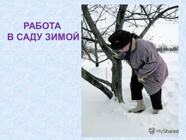 Занятия людей зимой
