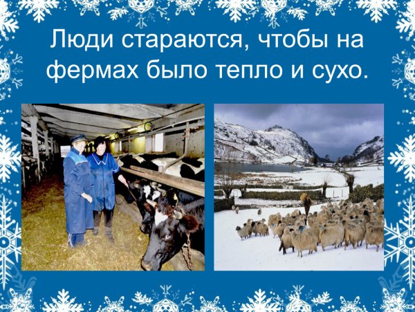 Труд людей зимой