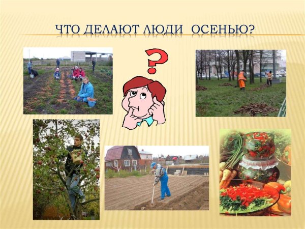 Труд людей осенью