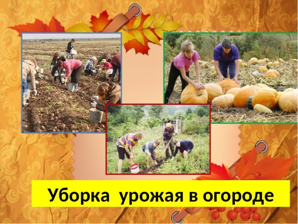 Труд людей осенью