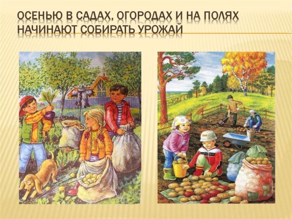 Осенний труд людей