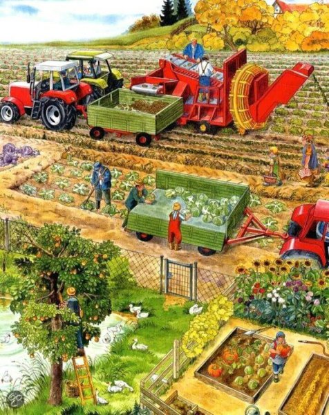 Осень уборка урожая для детей