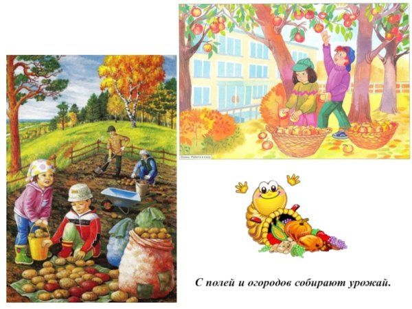 Занятия людей осенью