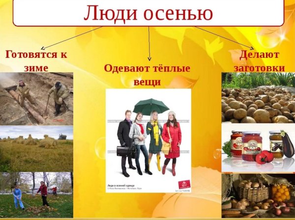 Занятичеловека осенью