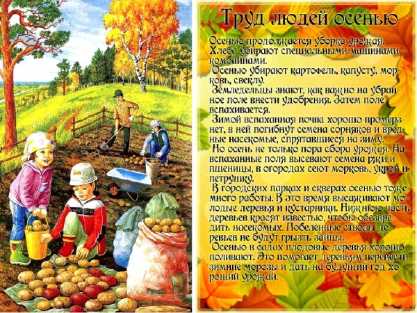 Занятия людей осенью