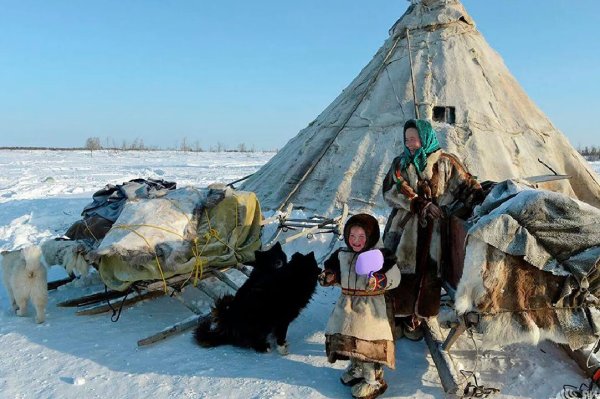 Ненцы Ямало Ненецкий автономный округ