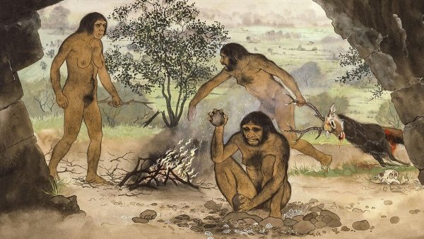 Архантропы (homo Erectus)