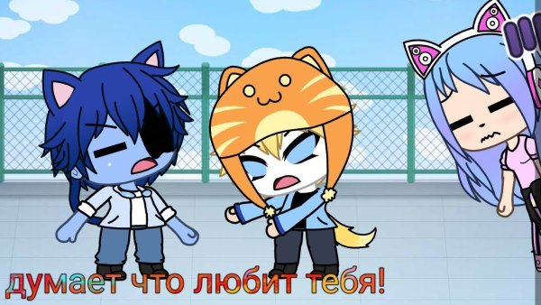 Кошка Лана и Йоши