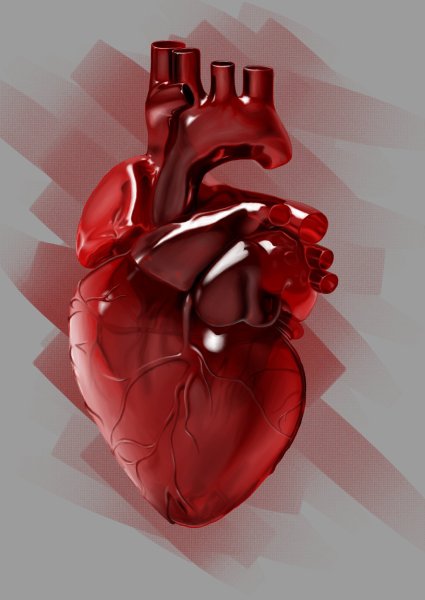 Сердце