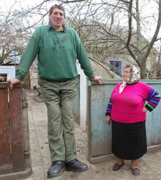 Леонид Степанович Стадник