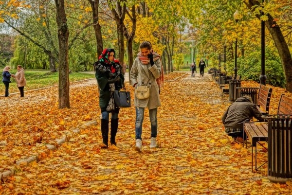 Прогулка в осеннем парке