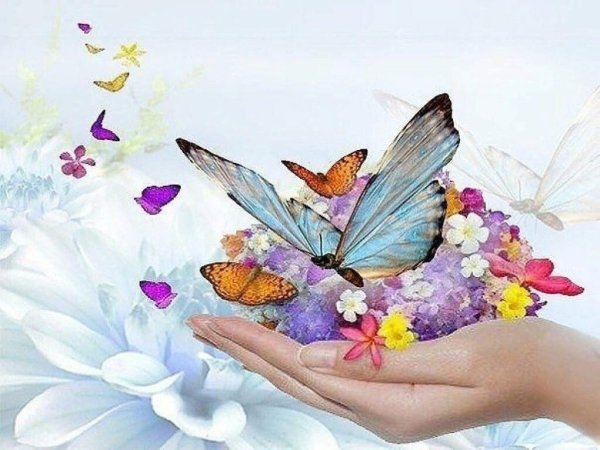 Добрые пожелания с бабочками