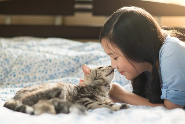 Котенок с хозяином