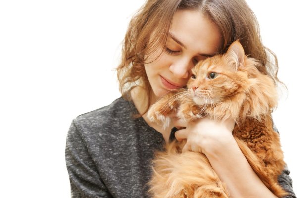 Девушка держит кошку