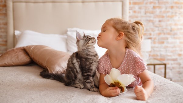 Девочка с котятами