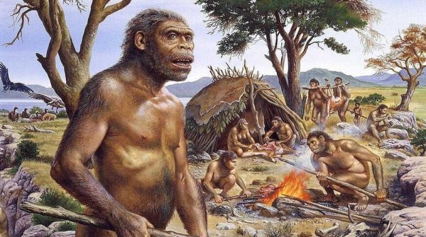 Человек прямоходящий homo Erectus