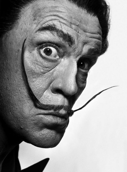 Philippe Halsman -Salvador Dali
