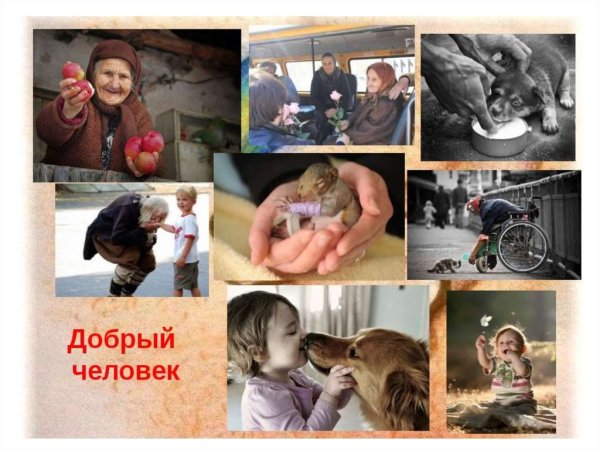 Добрые дела