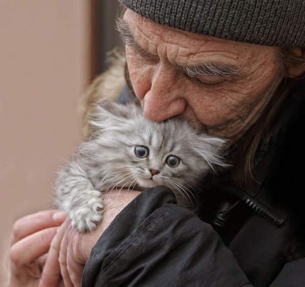 Дедушка с котом