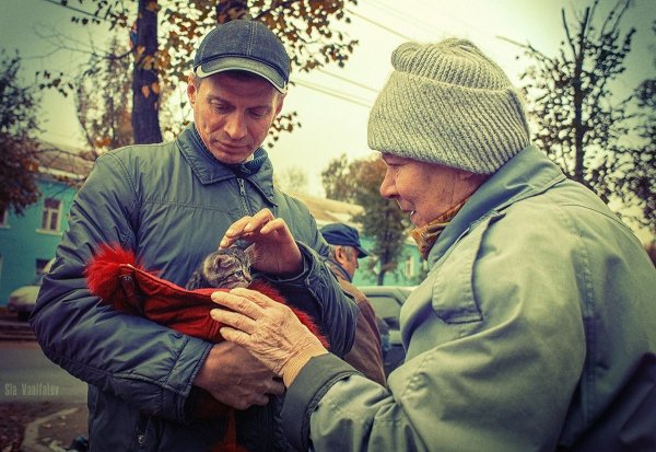 Проявление доброты
