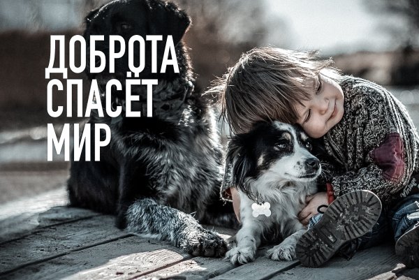 О доброте