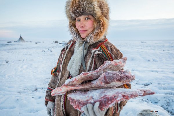 Народы крайнего севера ненцы