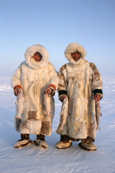 Чукчи ненцы Эскимосы