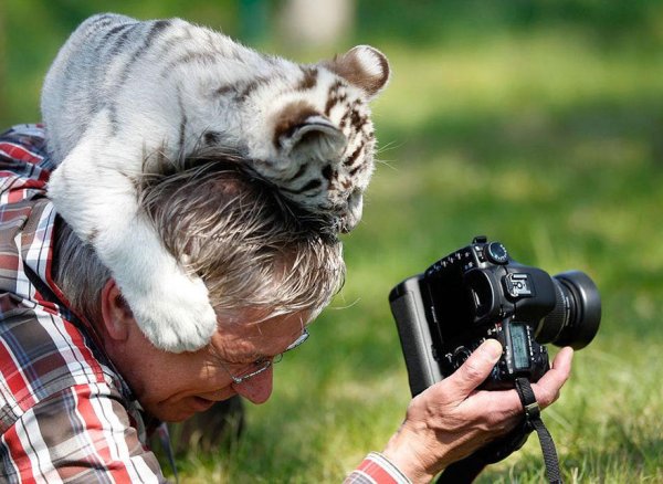 Профессия фотограф
