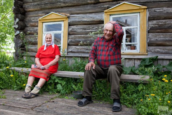 На деревню к дедушке