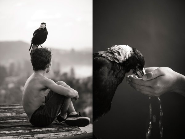 Фотограф Кэмерон Блум