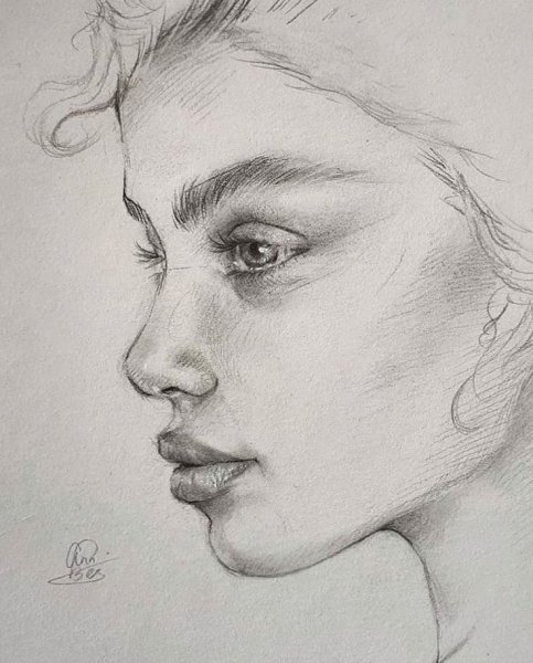 Рисование портрета карандашом